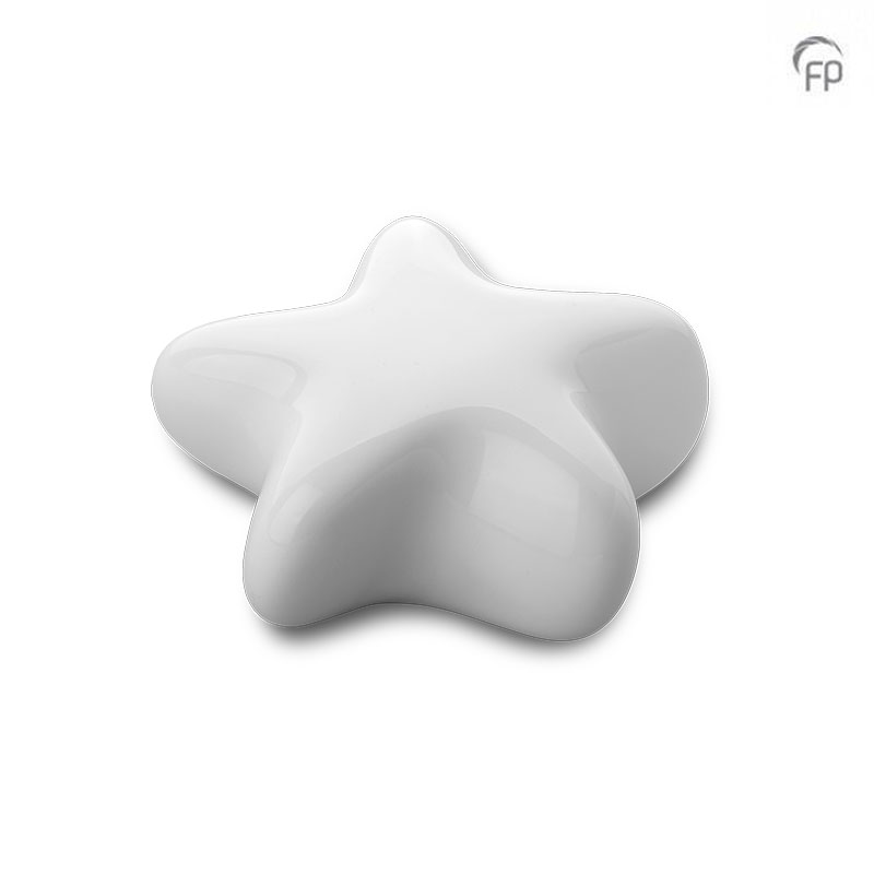FPU 061 Keramische kunst urn keepsake Asteri