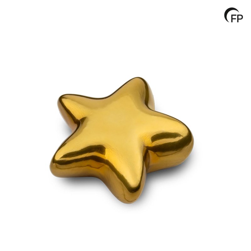 FPU 154 Keramische kunst urn keepsake Asteri Goudkleur